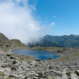 _DSC0150.jpg