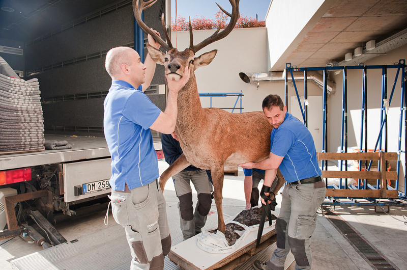 Schermata 2013 07 23 alle 23 55 03