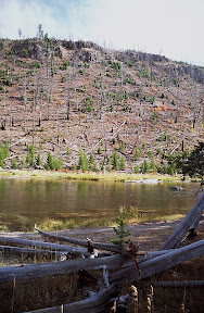 Yellowstone Park Plus 20