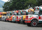 Buses públicos