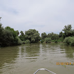 IMG_5222.JPG