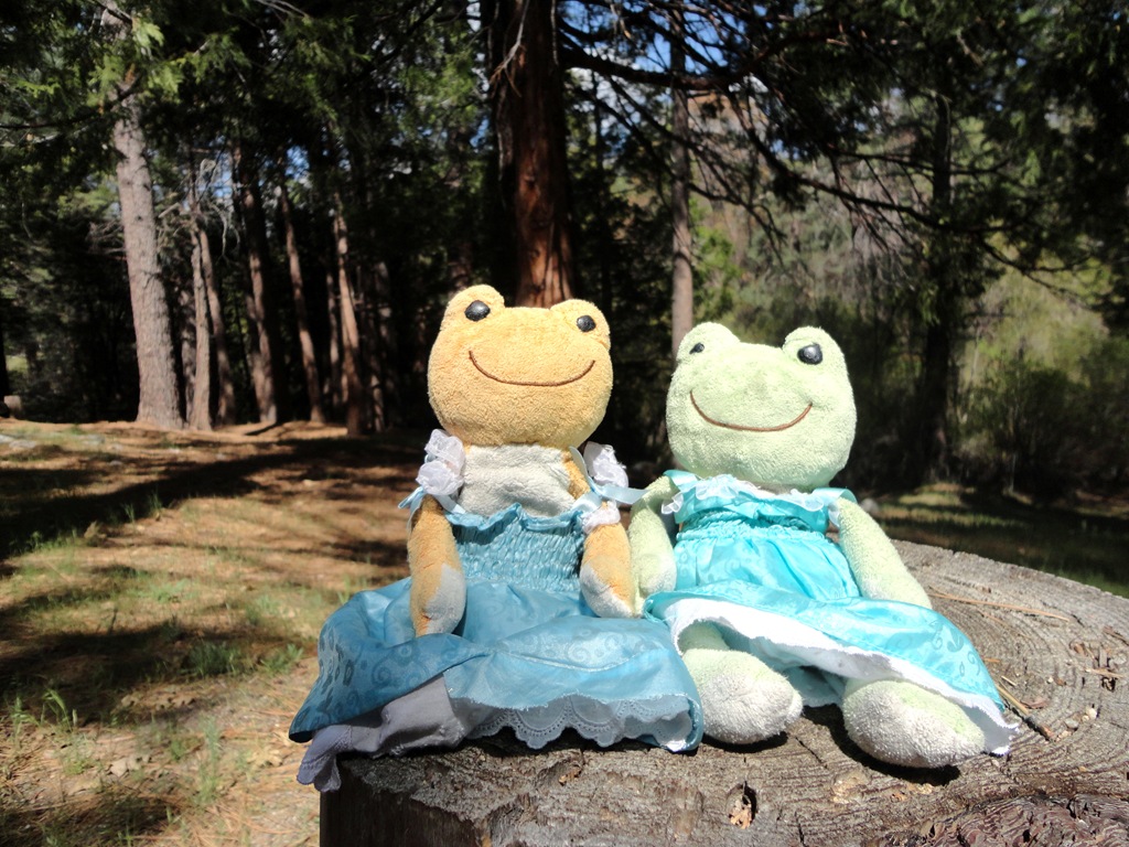 [Idyllwild%2520Camping%2520135A%255B4%255D.jpg]
