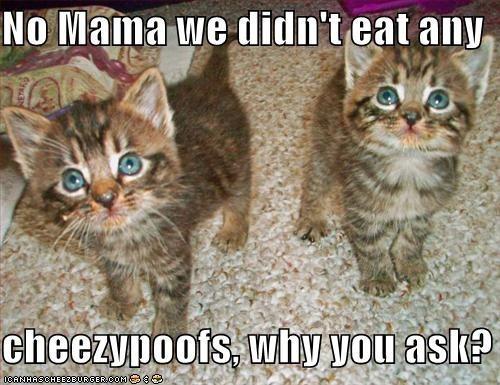 [funny-pictures-kittens-deny-eating-your-cheesy-poofs%255B3%255D.jpg]