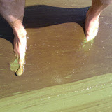 IMAG0023.jpg