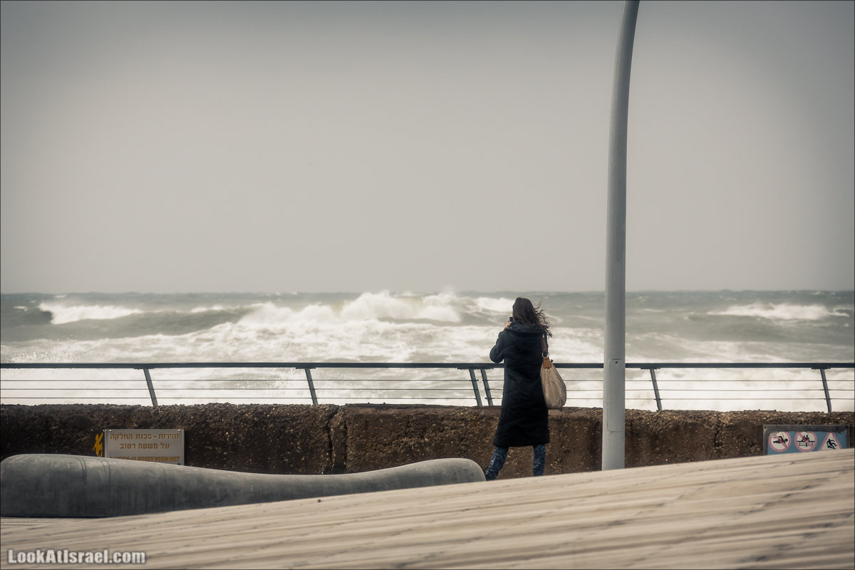 LookAtIsrael.com -      | Rain in Tel Aviv