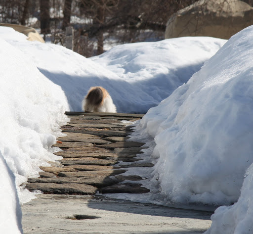 Hey!  Where do you think you're going!  I was talking to you!!