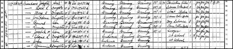 The 1900 Census for the Joseph Niehaus family includes Joseph as a widower and nine of his eleven children, Rose, Mary, Josephine, Bernard, Lena, Joseph, Clara, John, Minnie.