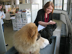 Yes darling - you may pet us - we don't mind one bit!