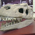 IMG_20120122_165741.jpg
