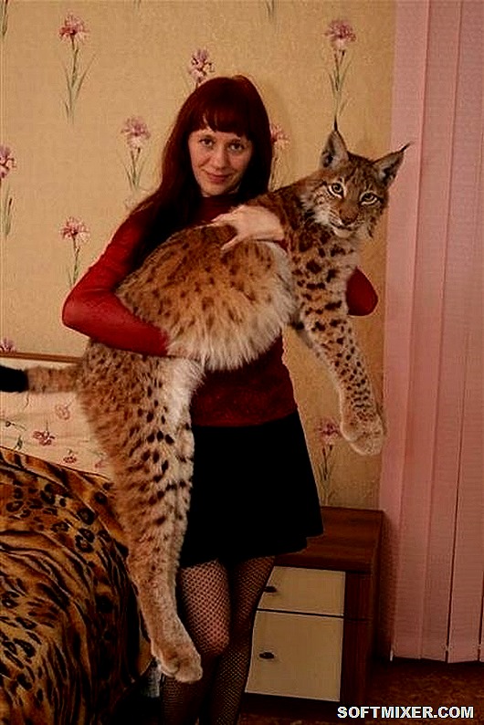 rare_pets_14 rare_pets_14