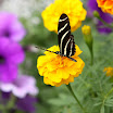 IMG_8380 E.jpg