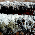 These georgous white crystals cover everything.