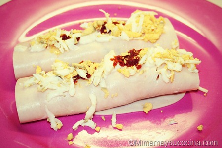 Rollitos Rollitos