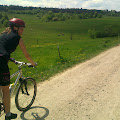 Krówki ..na drugim planie. ;) 14052011310.jpg