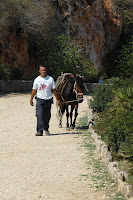 Local with trusty stead