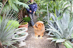 Oooh!  That's one giant fern, Ryan.