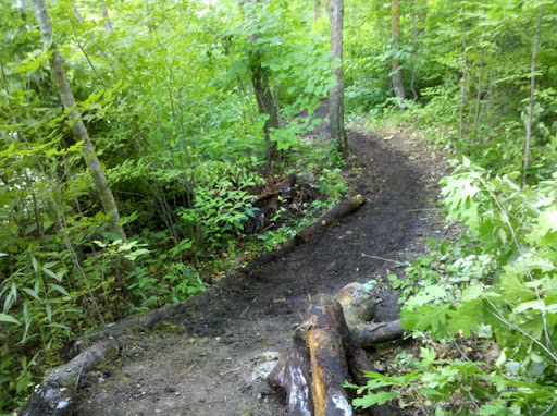 New singletrack made this week to access twin lakes