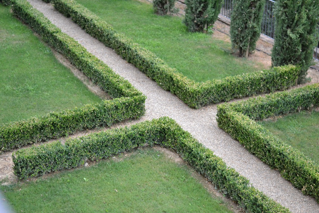 [DSC_0802%255B10%255D.jpg]