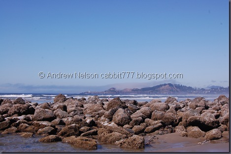 DSC_0831 DSC_0831