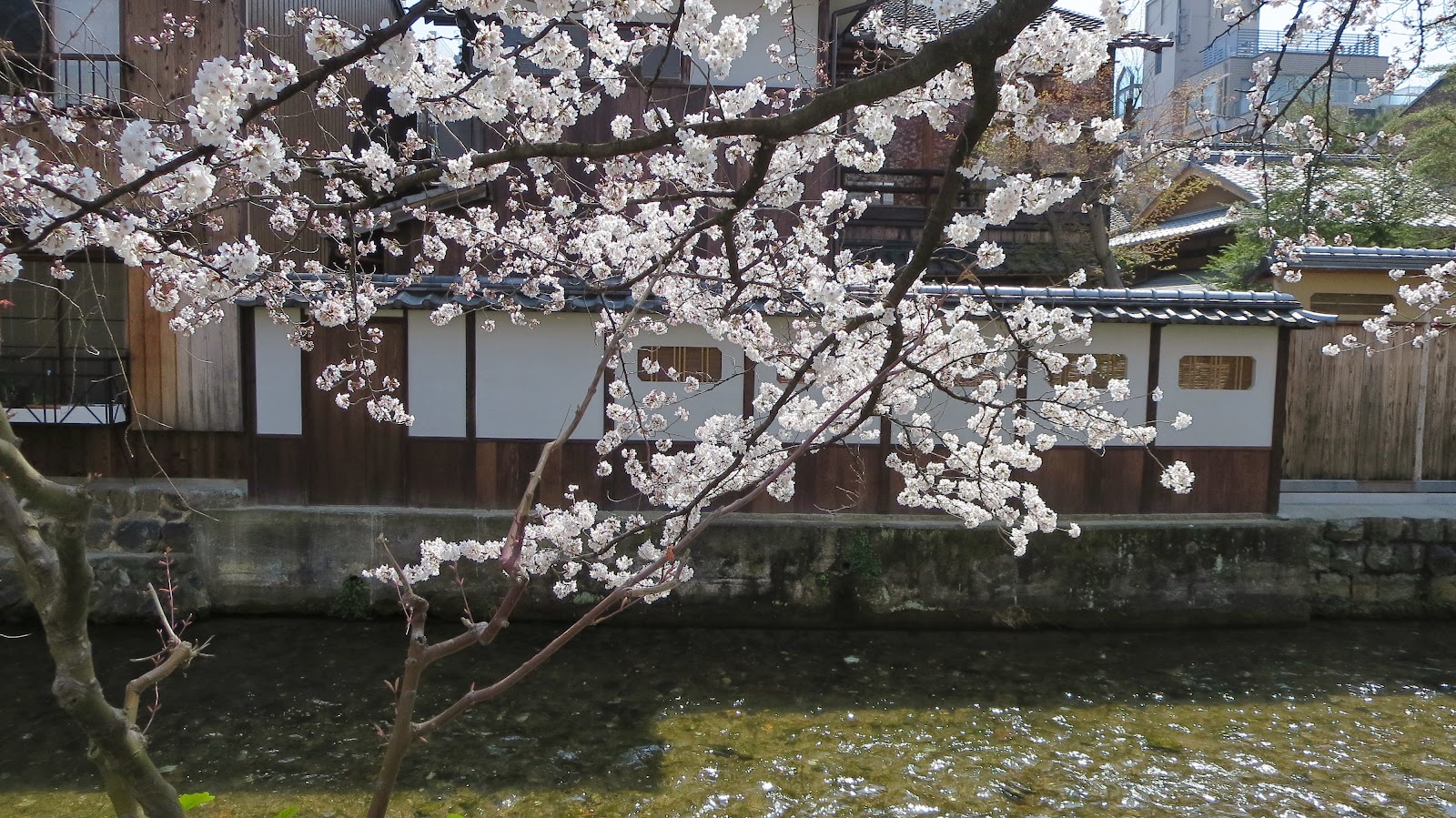 [IMG_2577%255B3%255D.jpg]