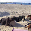 P1000915.jpg