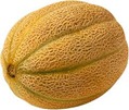 cantaloupe cantaloupe