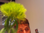 FILE0079.JPG