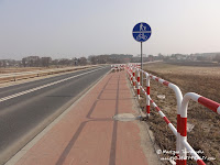 dsc06981.jpg