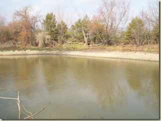 fall potatoes-3 ponds- bees 018