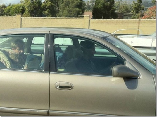 viral-picdump-pics-7d3493