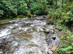 P1020351.JPG