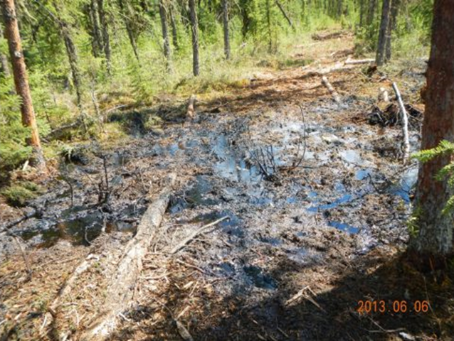 A 6 June 2013 photo provided by a government scientist shows the site of an oil spill in Cold Lake, Alberta. The company that runs the operation says it is effectively managing the cleanup. Photo: The Star