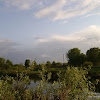 dsc02973.jpg
