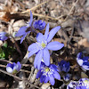 dsc07455.jpg