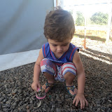 fotos 2012 374.jpg