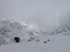 IMG_1515.JPG