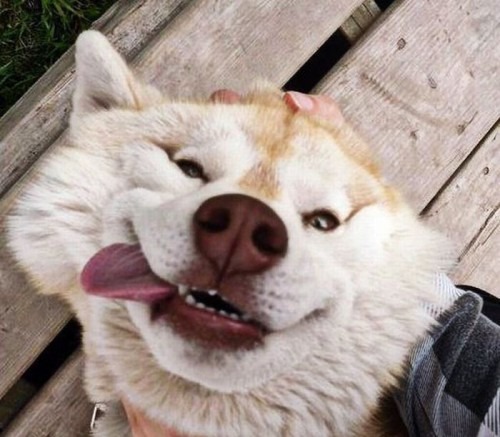 [clip_image005%255B4%255D.jpg]