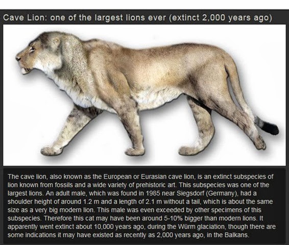 [extinct-animals-009%255B2%255D.jpg]
