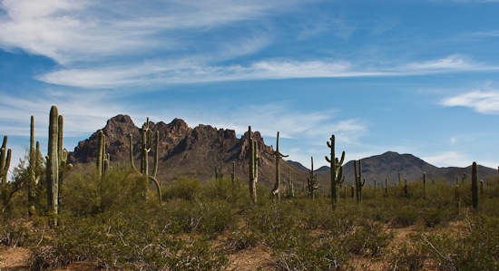 Ironwood Forest NM Ragged Top Mountain (1)