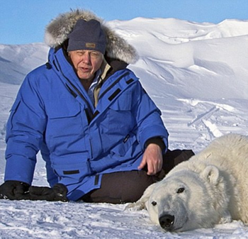 Sir David Attenborough on Arctic snow, with a tranquilized polar bear. Attenborough presents and authors the 'On Thin Ice' episode of 'Frozen Planet'. It looks at how the planet's ice is changing and what it means not only to the animals and people at the poles but also the rest of the planet. U.S. audiences will not be shown this episode, because it discusses the threat from global warming. BBC