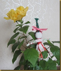 IMG_4623 IMG_4623