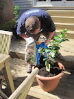 Gardening