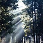 20091125 Allgaeu 0893 [640x480].JPG