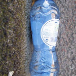 bottle+text_Layout 1.jpg