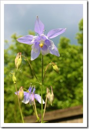 IMG_2854 IMG_2854