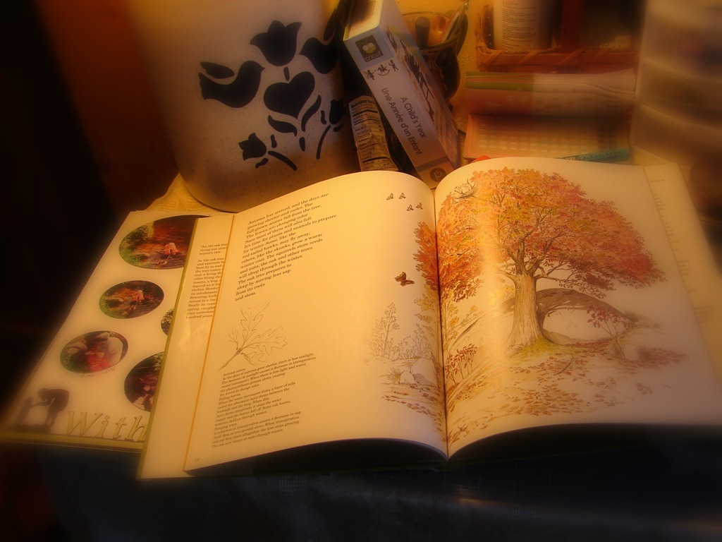 [3-DSC00066-001%255B6%255D.jpg]