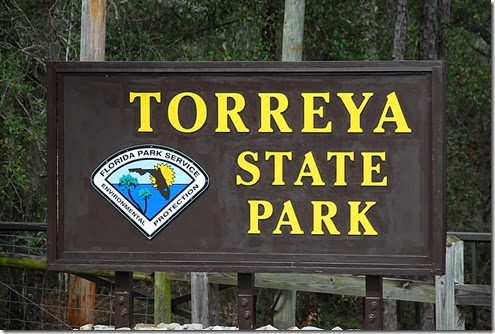 Torreya Sign