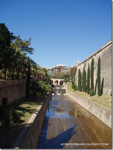 3-Palma de Mallorca. Canal Palma - P4140005