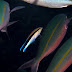 P7105625