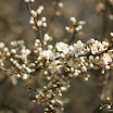 BP-2010-putim-0424-149.jpg